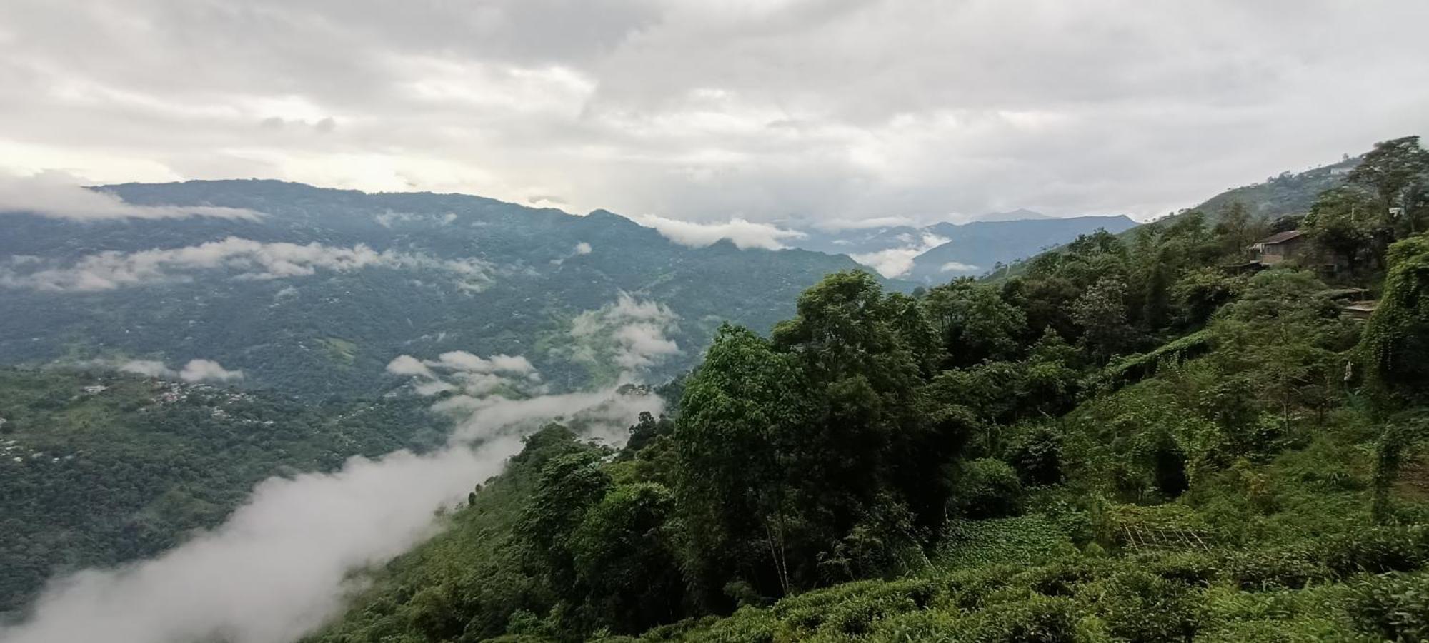 Tharbaling Homestay Darjeeling  Dış mekan fotoğraf
